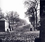 March__aux_chevaux