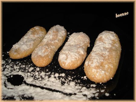 Biscuits à la cuiller (2)