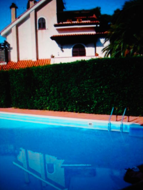 DSC03960