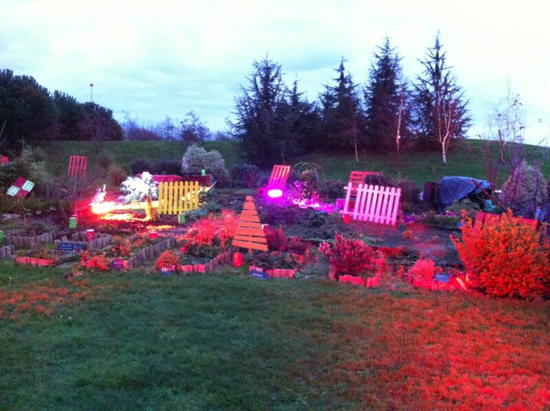 jardin début du crépuscule eclaire pour Noel au jardin decembre 2016 avec aide des BDE et MDE