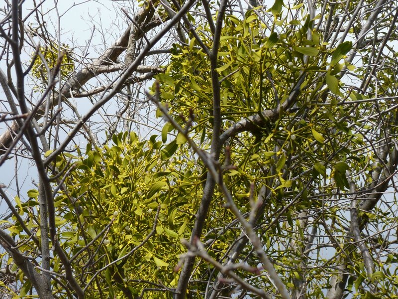 P1090275