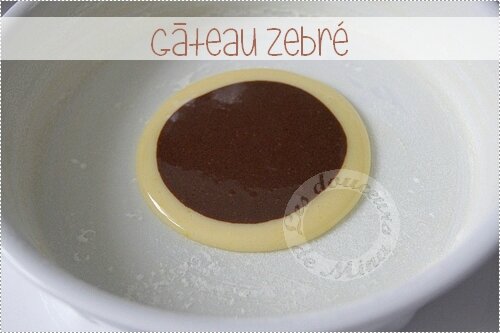 Gâteau_Zebré012