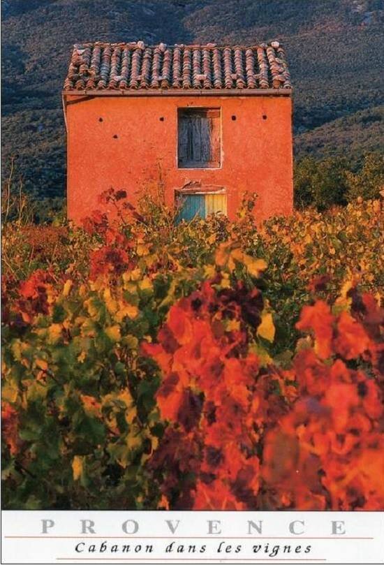 Cabanon dans les vignes