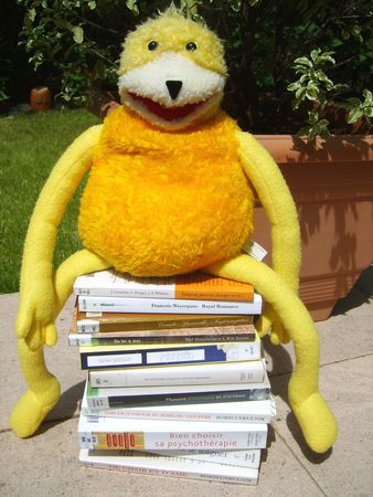 Oizo_lit