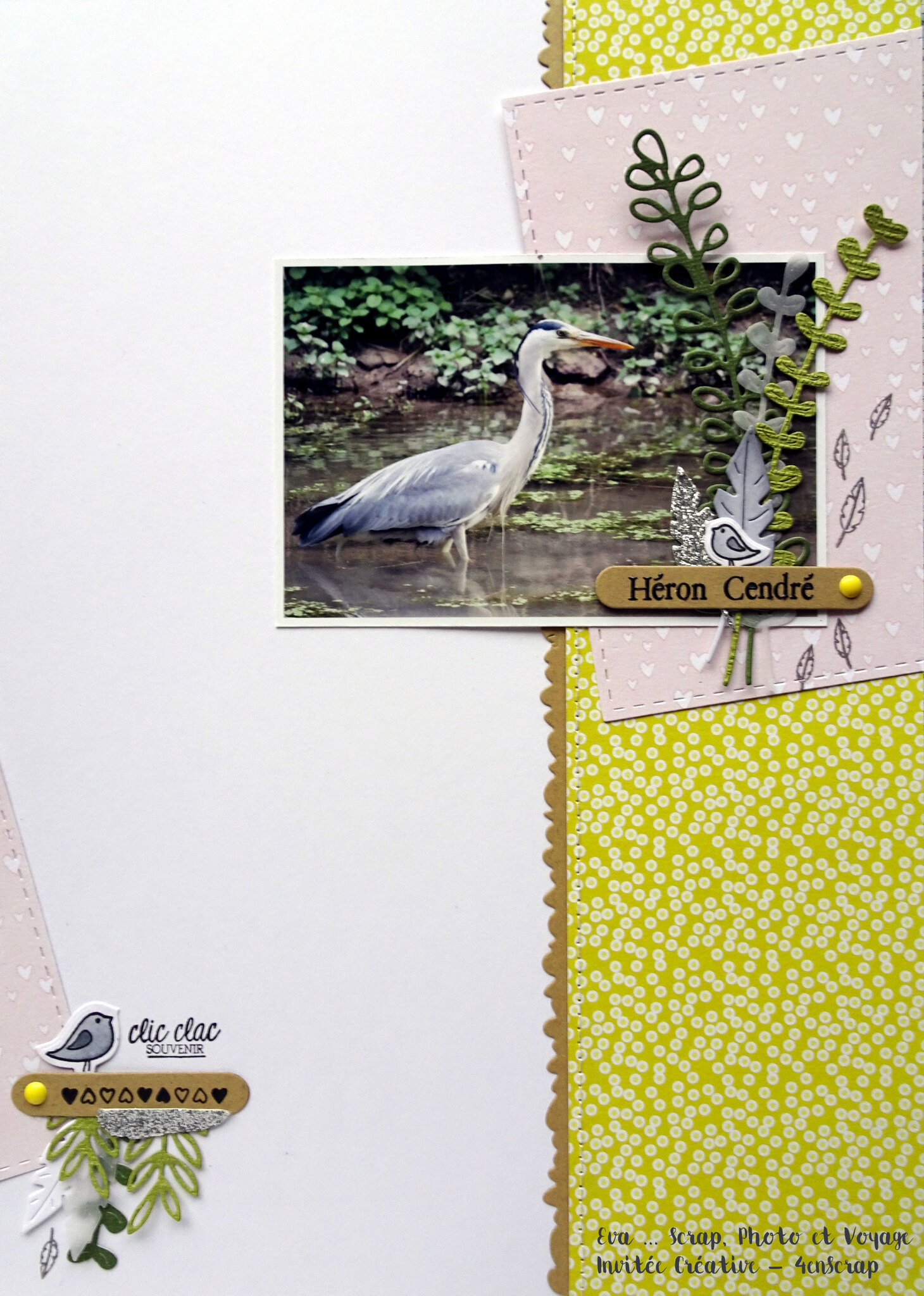 heron (1)