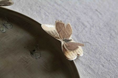 2papillon