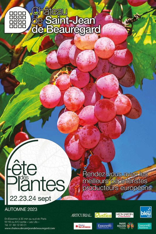 FDP automne ST JDB
