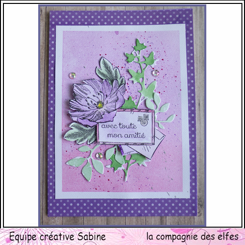sabine -violet