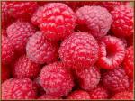 framboises