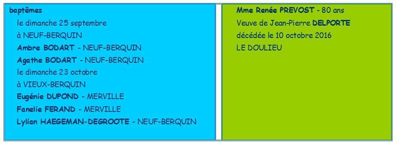 11 - nos joies nos peines