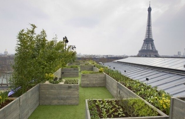 Parigi-tetto-verde-630x404