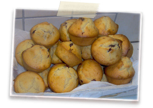 Muffins ou Petits cakes à la carotte allégés Muffins ou Petits cakes à la carotte allégés