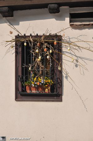 Arbre-à-oeufs-de-Pâques-Colmar
