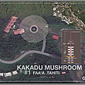 épisode 4 de 4/4/2044 : KAKADU-MUSHROOMS