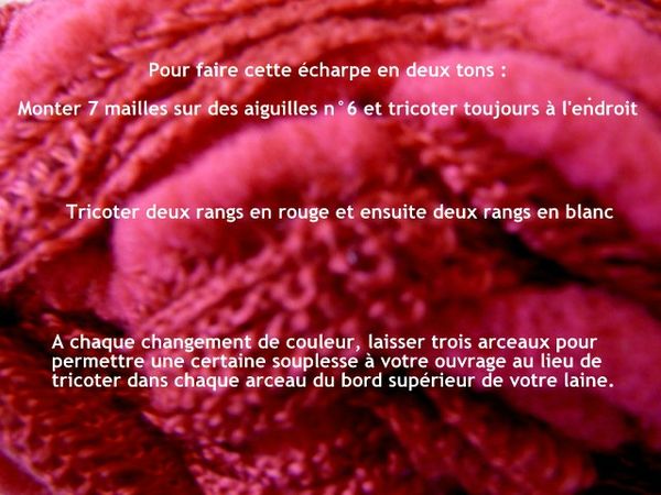 comment faire écharpe bicolore