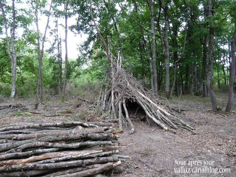 cabane