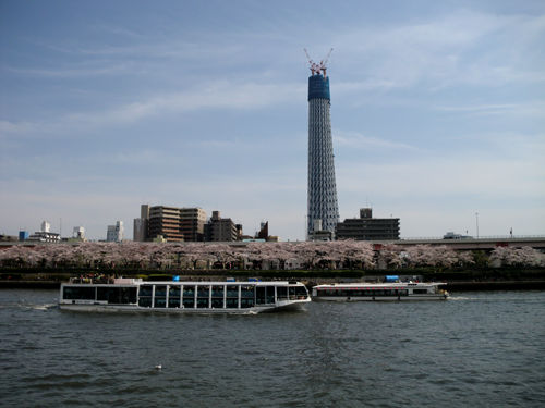 Sumida_koen_hanami_1