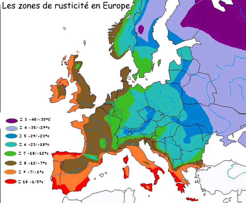 iris - zones de rusticité en Europe