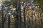 _DSC0172