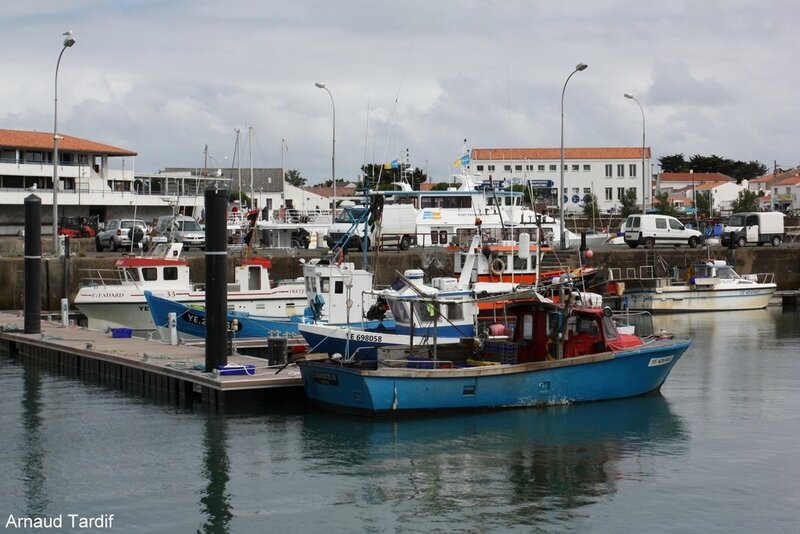 001491 Noirmoutier Juin 2020 - L'Ile d'Yeu - Port Joinville