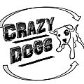 crazy dogs