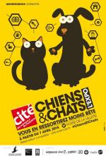 Affiche-Chiens-et-chats-480