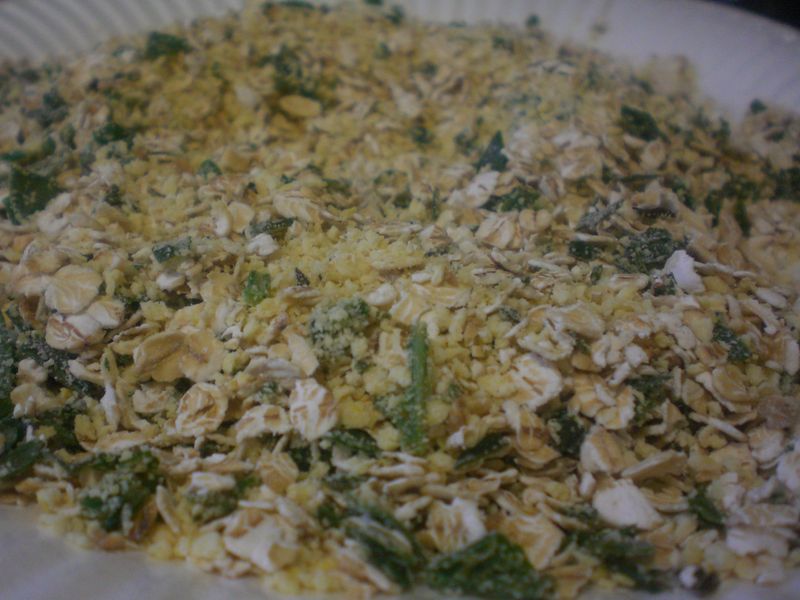 Aubergines panées (flocons d