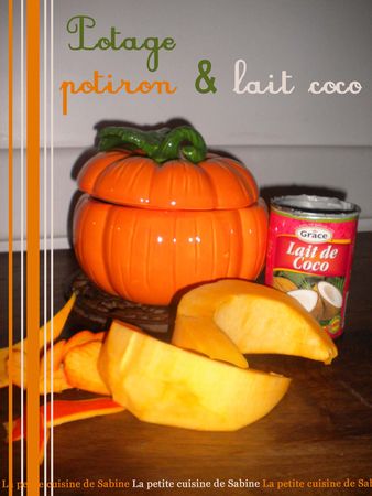 Potage_potiron_et_lait_de_coco