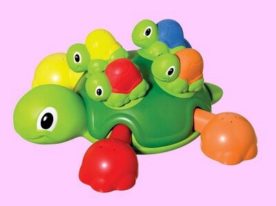 tortue bain