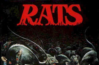 rats photoJT