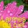 LES LARMES DU CIEL