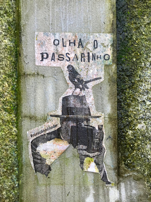 Porto artyx1