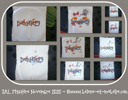 danièle29_salnov20_col3