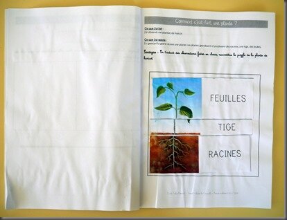 Windows-Live-Writer/Projet-TOUS-AU-JARDIN-_F95C/P1040317_thumb