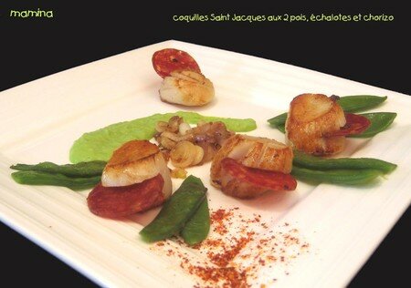 CSJ_AUX_2_POIS