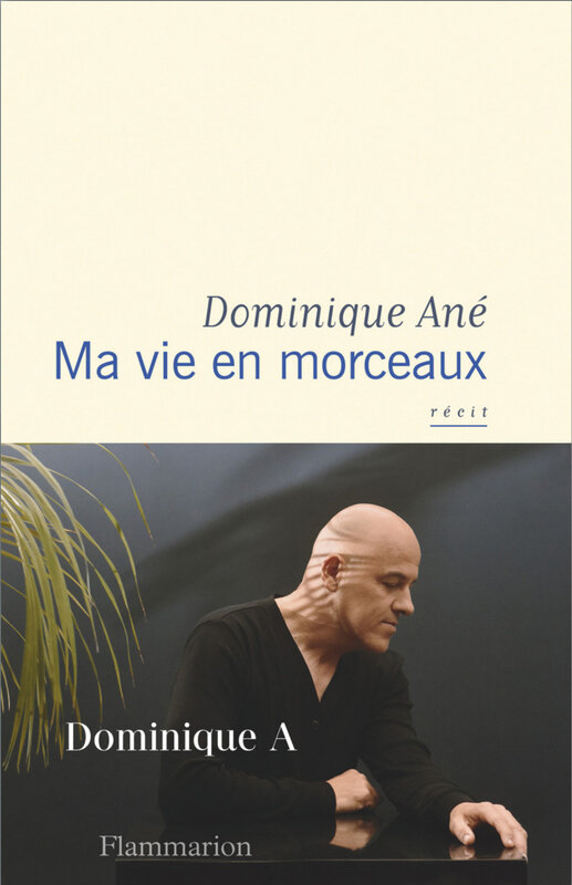 ma-vie-en-morceaux