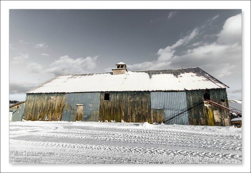 IMG_2618-1-2