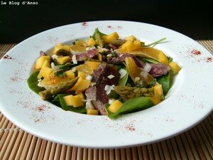 Salade_de_boeuf___pousses__pinards___mangue___orange_1