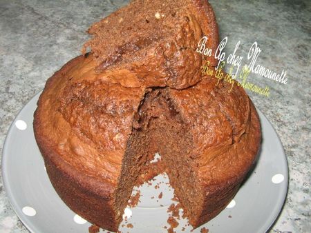 Gâteau moelleux chocolaté 009