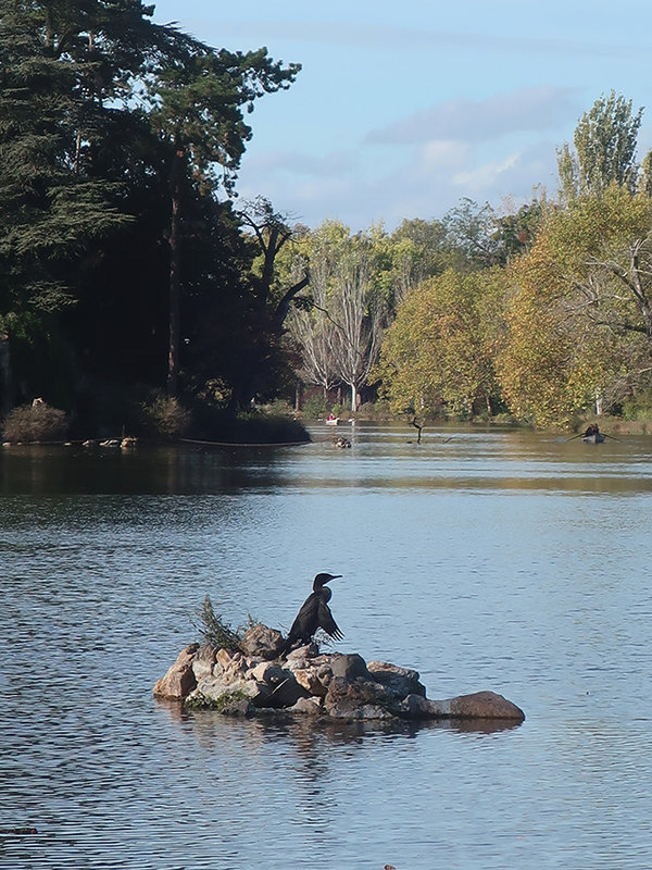 lac du 26 b