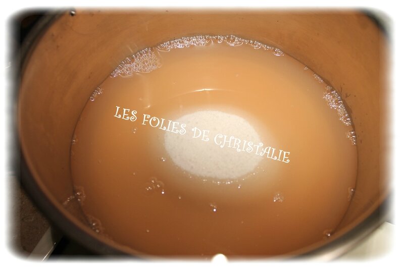 Gelée de pommes 6