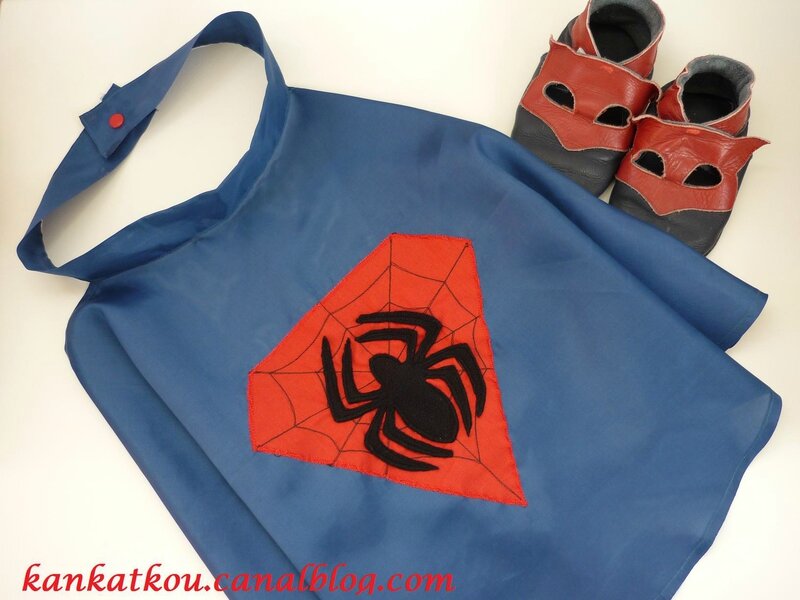 P1180255 cape spiderman