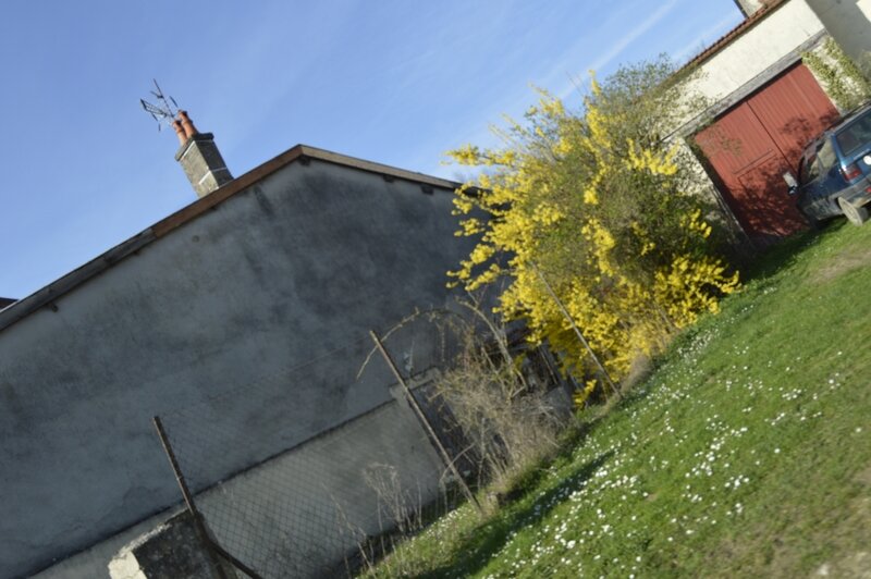 _DSC0084