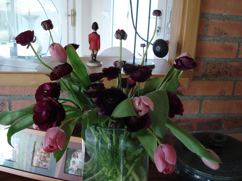 Tulipes