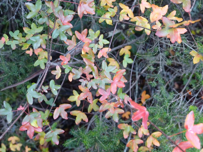P1260649