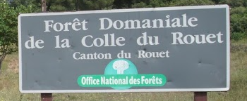 Foret domaniale de la Colle du Rouët