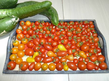 14-tomates cerises récolte du 1 aout 2012 (10)