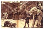 Menagerie