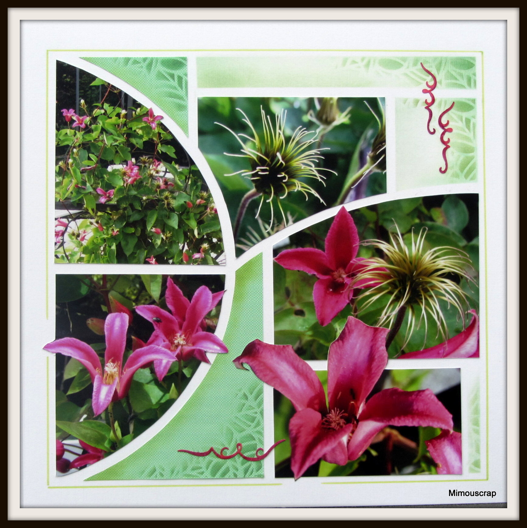 Jardin 2016 048