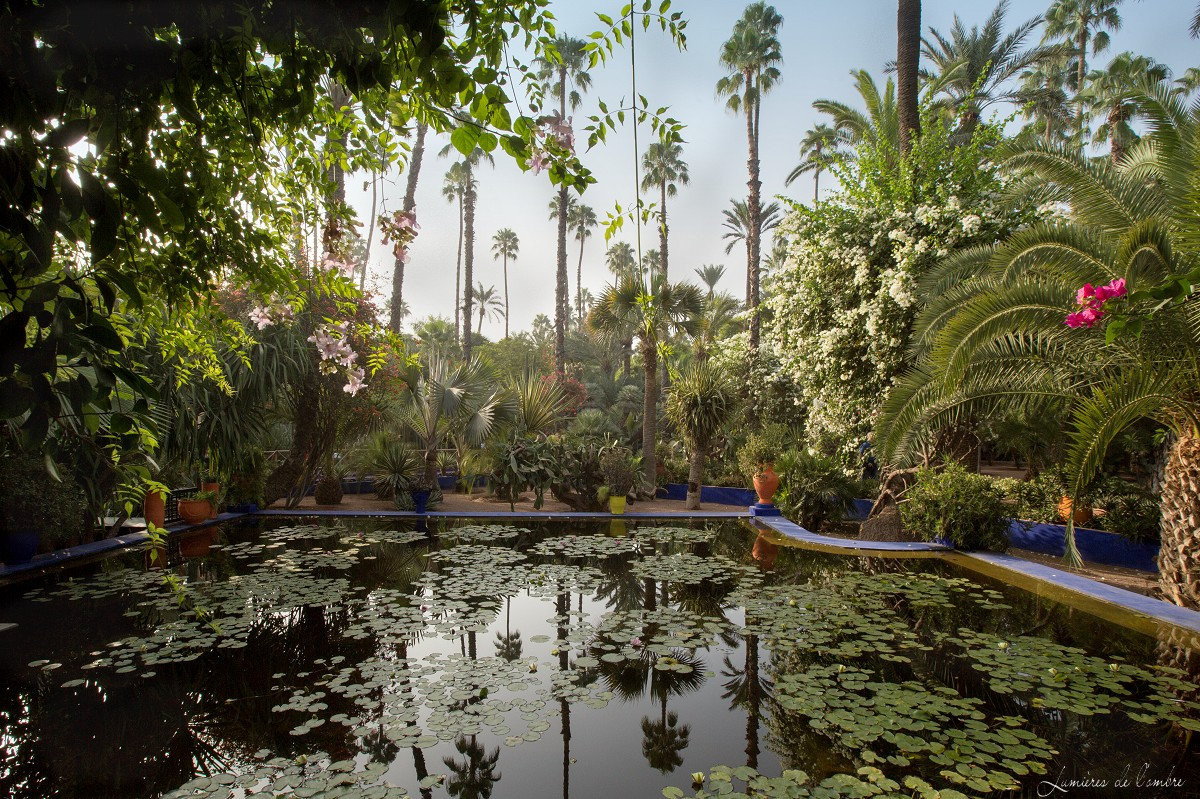 w_Majorelle_Bassin_20170929_6441
